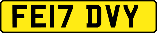 FE17DVY