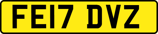 FE17DVZ