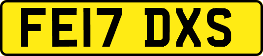 FE17DXS