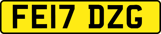 FE17DZG