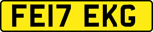 FE17EKG