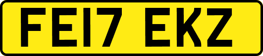 FE17EKZ