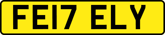 FE17ELY