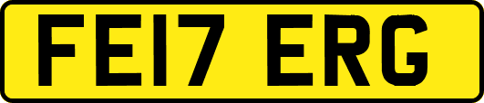 FE17ERG