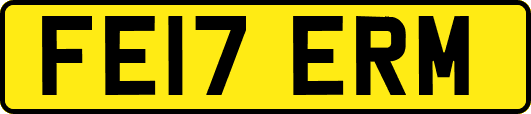 FE17ERM