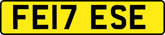 FE17ESE