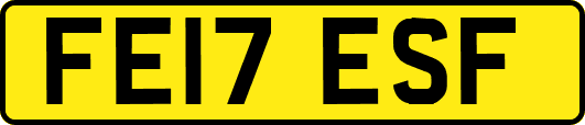 FE17ESF