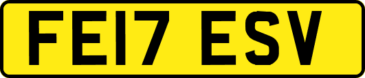 FE17ESV