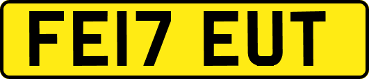 FE17EUT