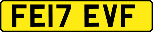 FE17EVF