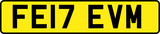 FE17EVM