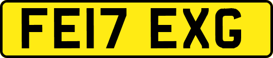 FE17EXG