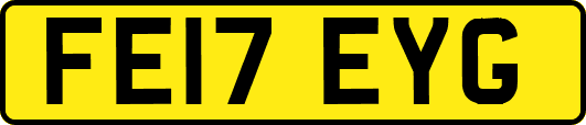 FE17EYG