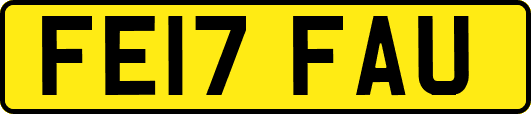 FE17FAU