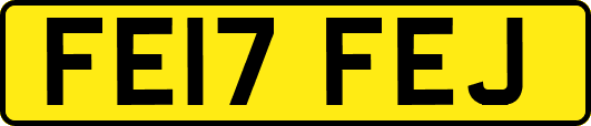 FE17FEJ