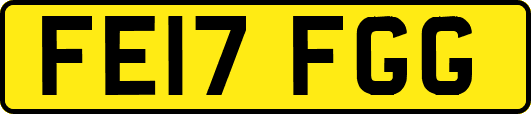 FE17FGG