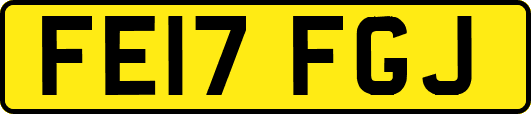 FE17FGJ