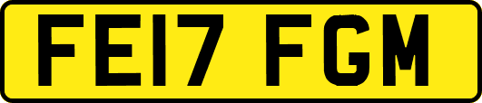 FE17FGM