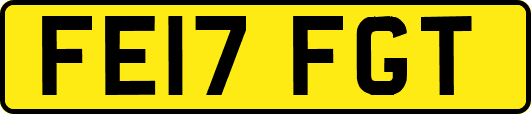FE17FGT