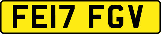 FE17FGV