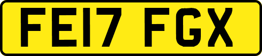 FE17FGX
