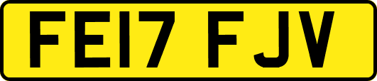 FE17FJV
