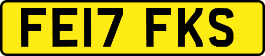 FE17FKS
