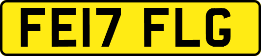 FE17FLG