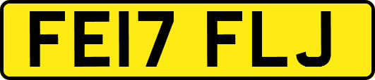 FE17FLJ