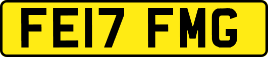 FE17FMG