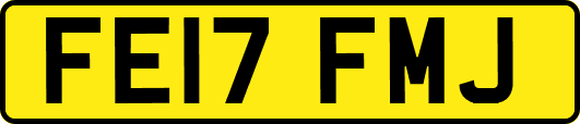 FE17FMJ