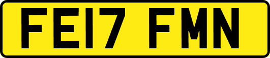 FE17FMN