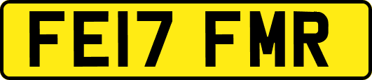 FE17FMR