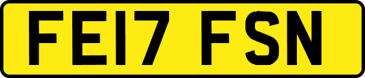 FE17FSN