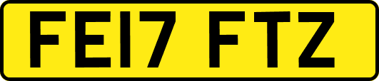 FE17FTZ