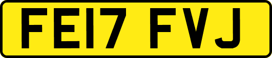 FE17FVJ