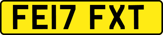 FE17FXT