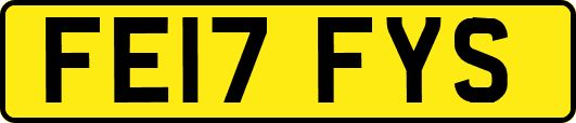 FE17FYS