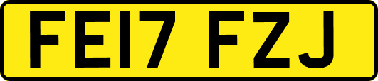 FE17FZJ