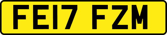 FE17FZM