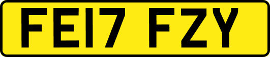 FE17FZY