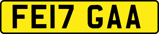 FE17GAA