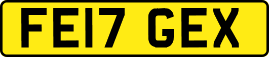 FE17GEX
