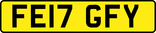 FE17GFY