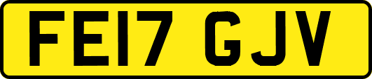 FE17GJV