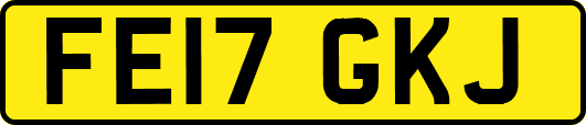 FE17GKJ