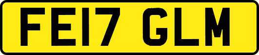 FE17GLM