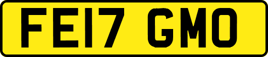 FE17GMO