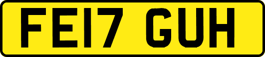 FE17GUH