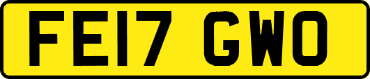 FE17GWO